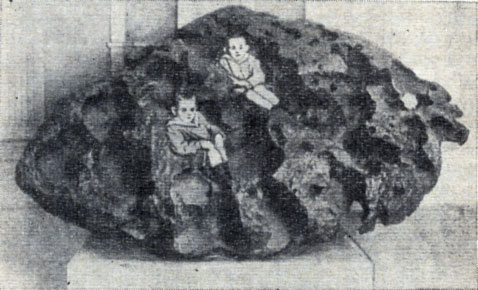 Рис. 102. Метеорит Вилламет. Полости в нем (в которых легко поместились два мальчика) образовались в результате выветривания