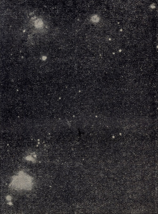 Рис. 169. Диффузные туманности в созвездии Ориона. (Фотография Д. Я. Мартынова.)