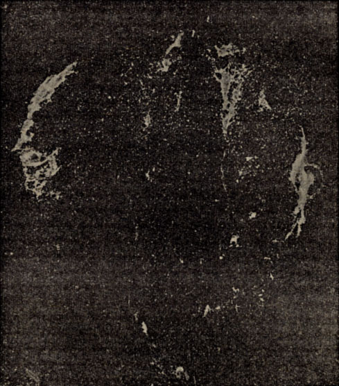 Рис. 170. Волокнистые туманности в созвездии Лебедя. (Фотография Д. Я. Мартынова.)